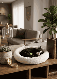 Cute Black Cat Desk Decor
