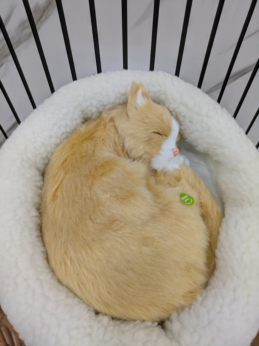 Cute Interactive Sleeping Cat XL Plush Cushion – Soft Fur Comfort Toy for Kids & Cat Lovers